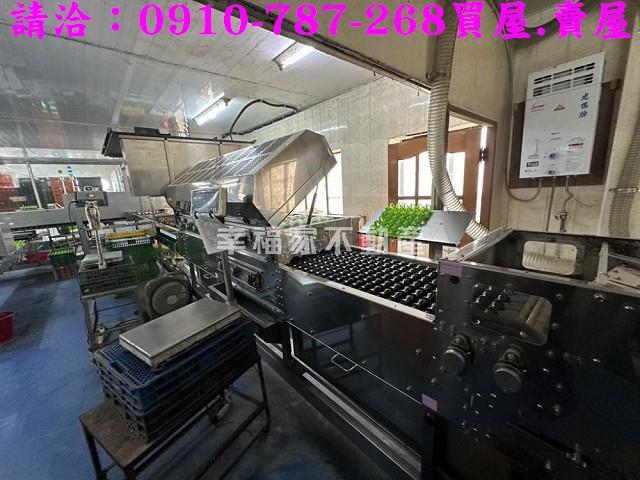 台南鹽水農地-3