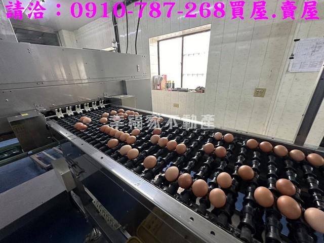 台南鹽水農地-4