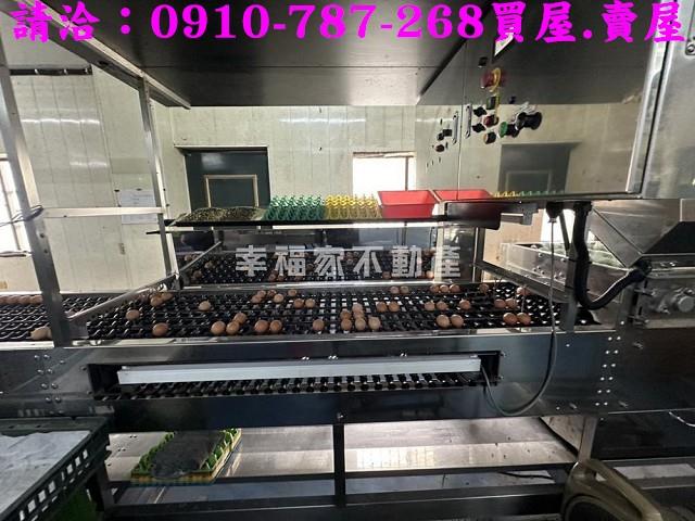 台南鹽水農地-5