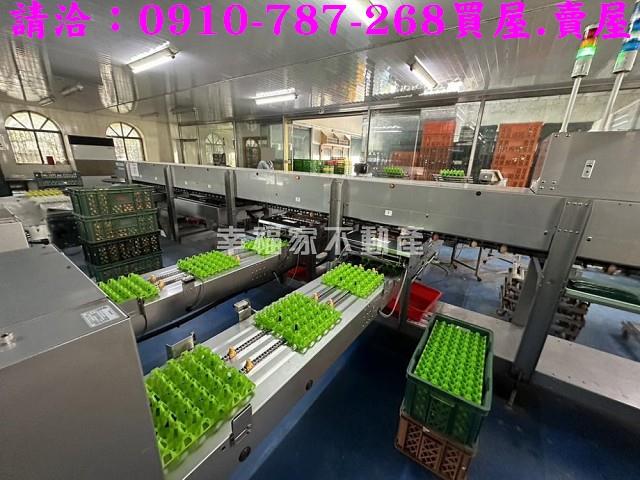 台南鹽水農地-7