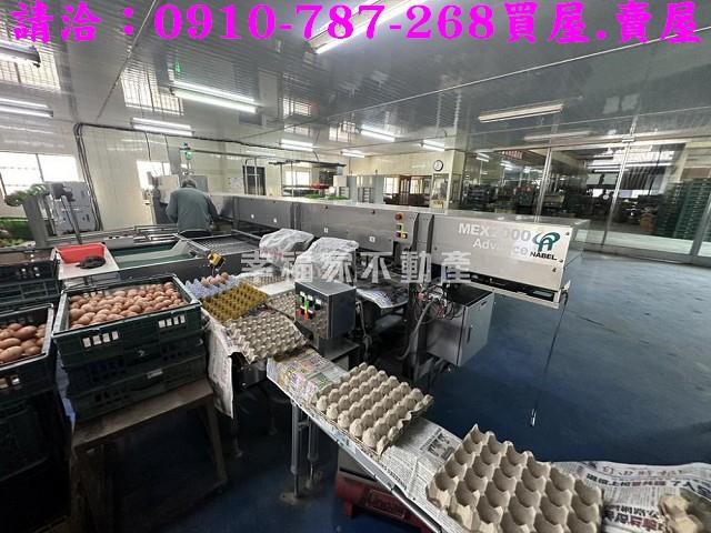 台南鹽水農地-8