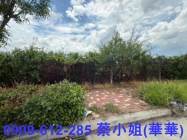 台南麻豆工業地-1