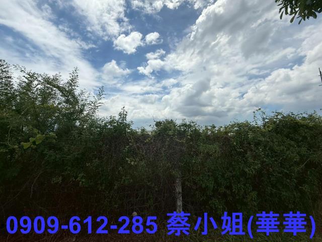 台南麻豆工業地-2