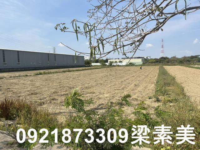 台南新化農地-3