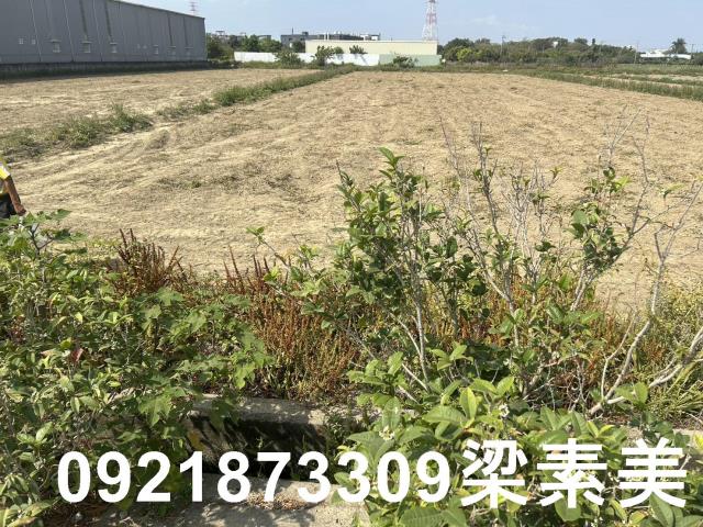 台南新化農地-7