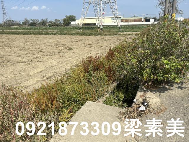 台南新化農地-9