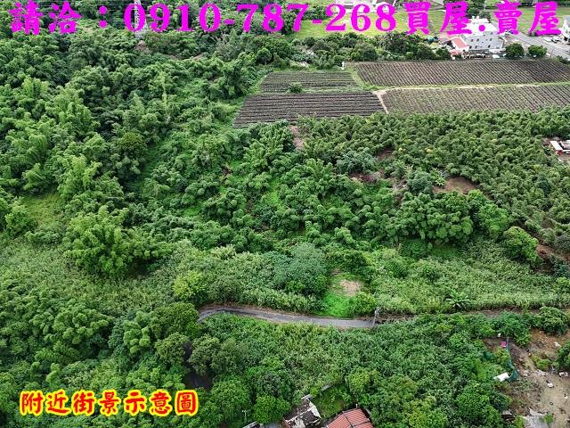 台南關廟農地-5