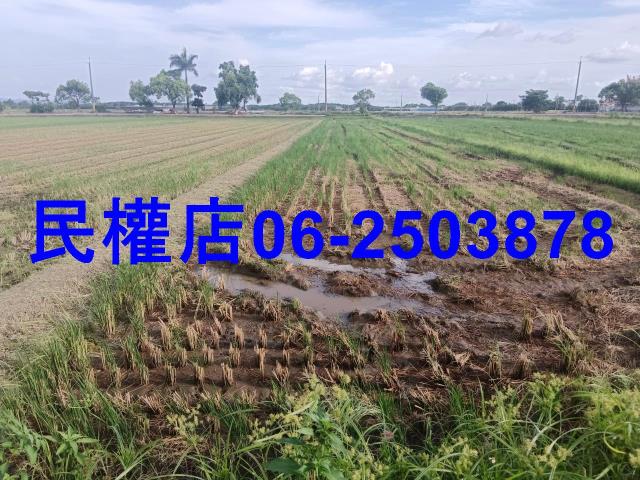 柳營農地-1