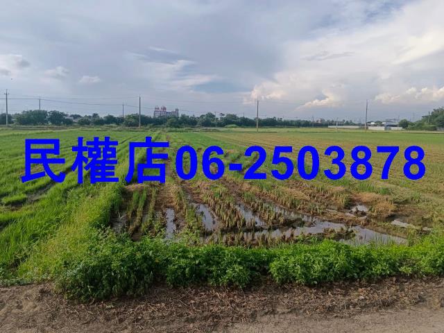 柳營農地-2