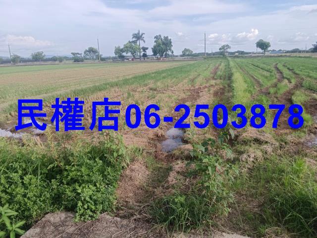 柳營農地-3