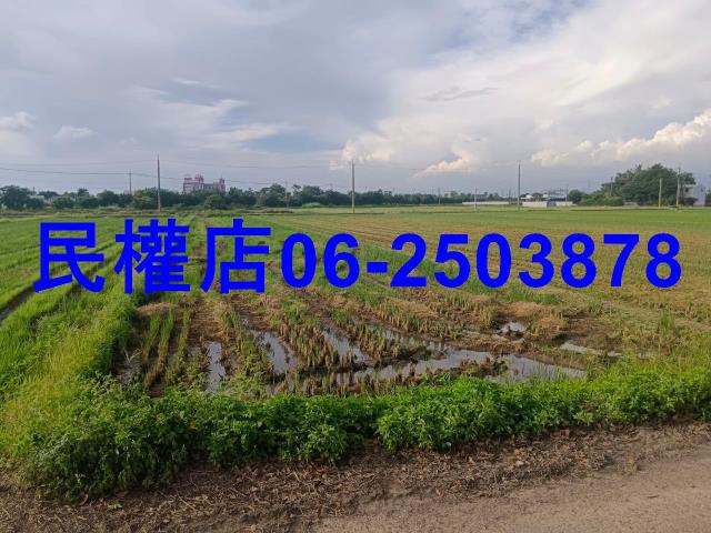 柳營農地-4