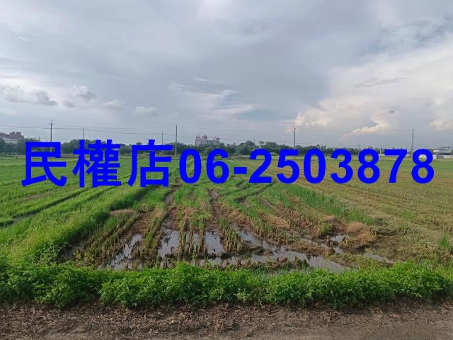 柳營農地-5