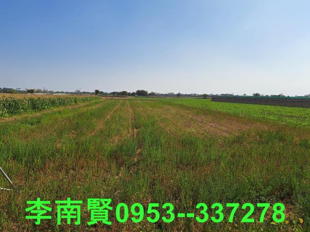 台南農地-7