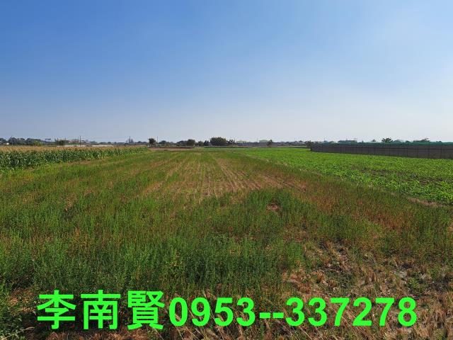 台南農地-9