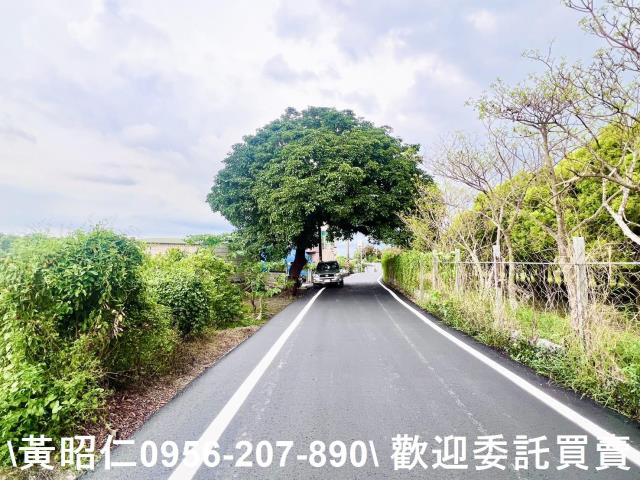 台南六甲農地-3