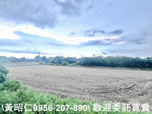 台南六甲農地-4