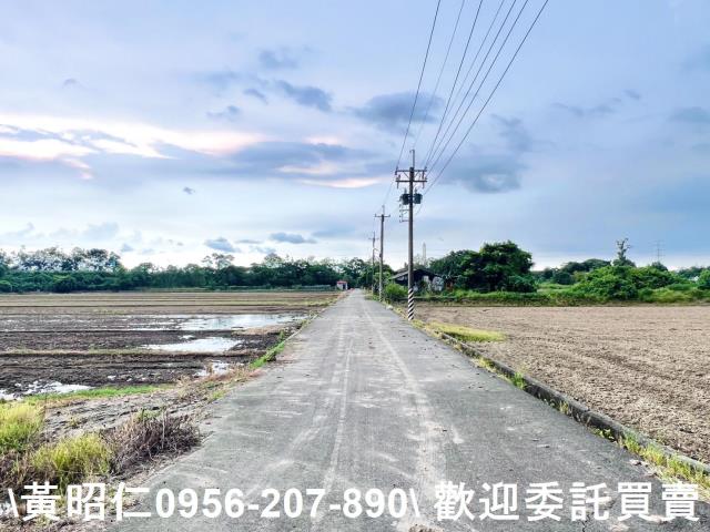 台南六甲農地-5