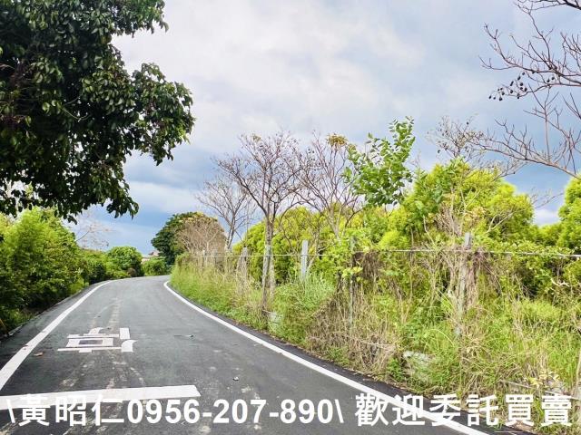 台南六甲農地-6