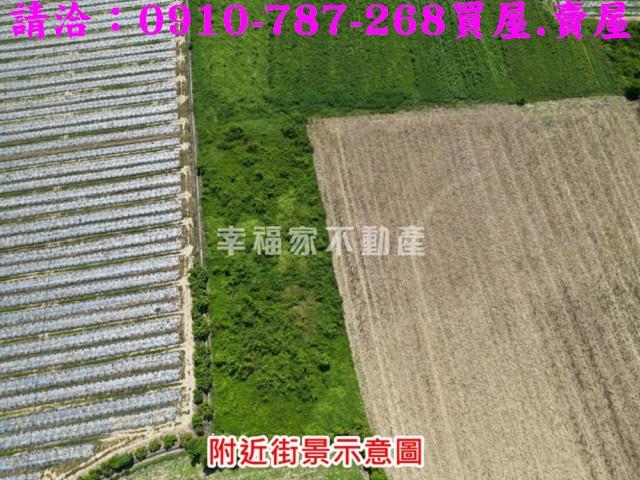 新市農地-6