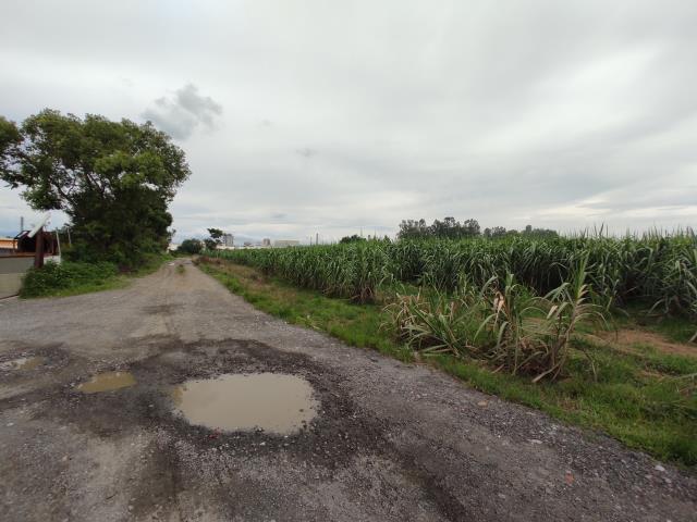 台南善化農地-10