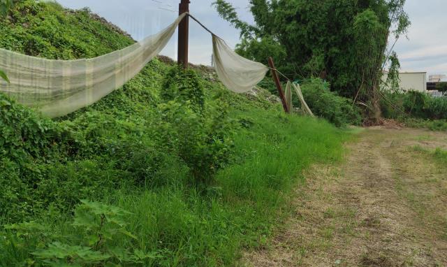 台南善化農地-11