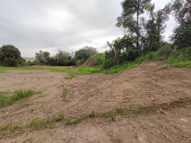 台南善化農地-3