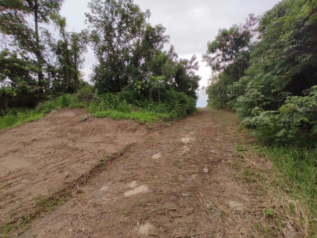 台南善化農地-4