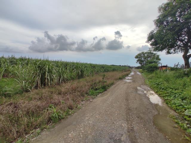 台南善化農地-8