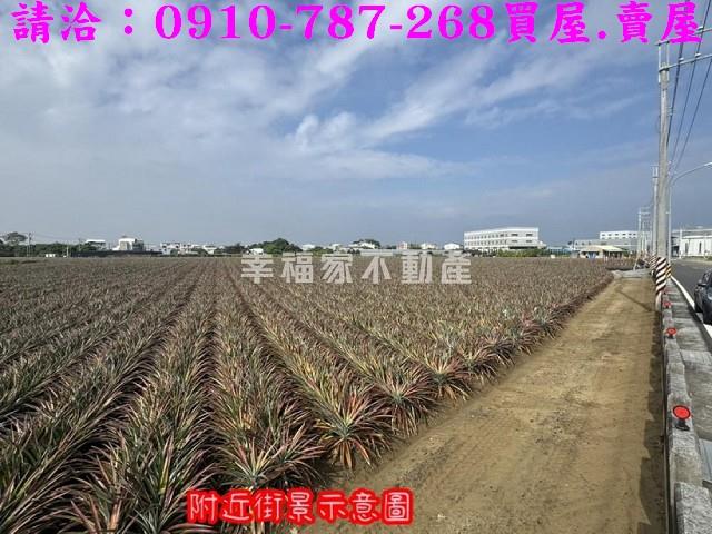 台南山上農地-5