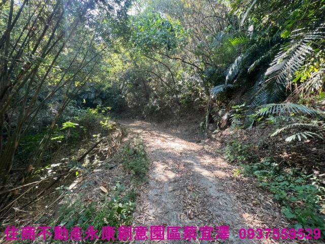左鎮農地-7