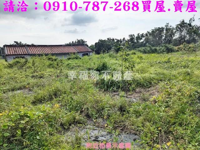 關廟農地-12