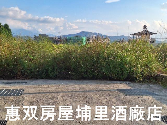 埔里農地-2