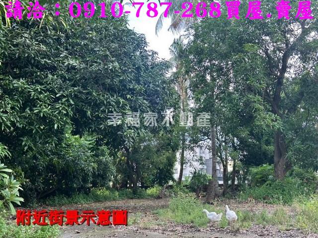 台南新化農地-10