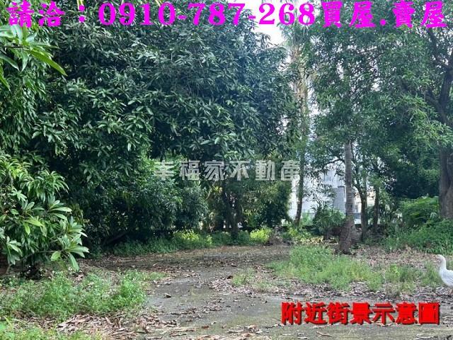 台南新化農地-11