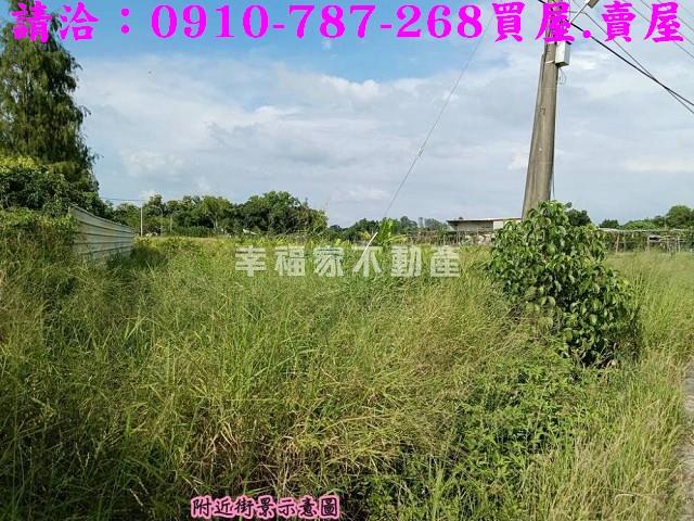 台南關廟農地-10