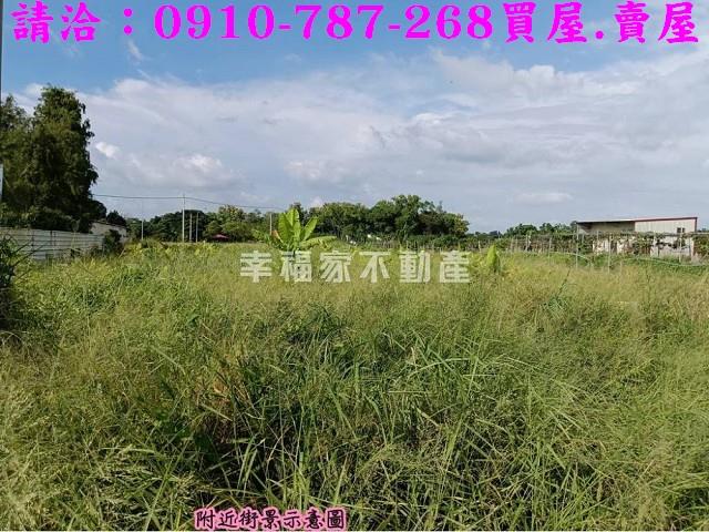 台南關廟農地-11