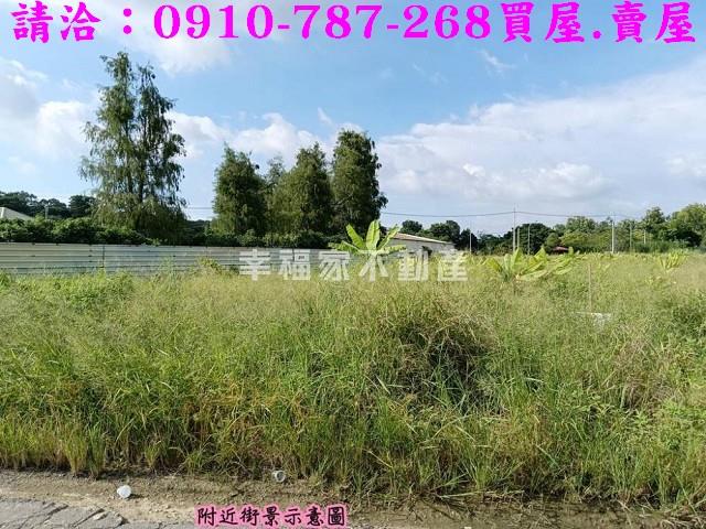 台南關廟農地-3