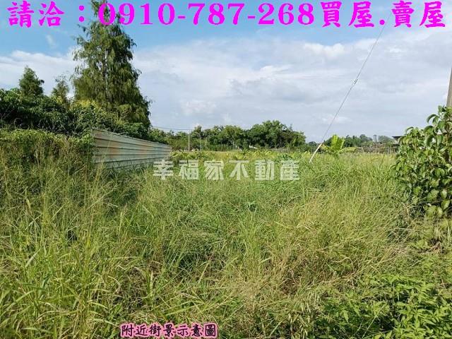 台南關廟農地-4