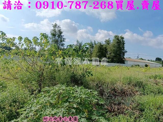 台南關廟農地-5