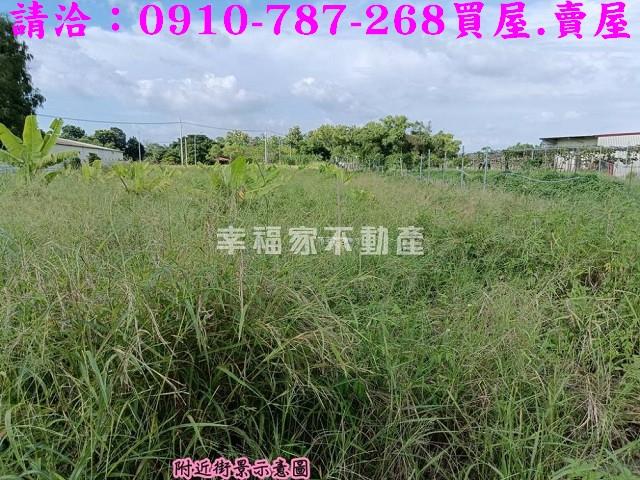 台南關廟農地-6