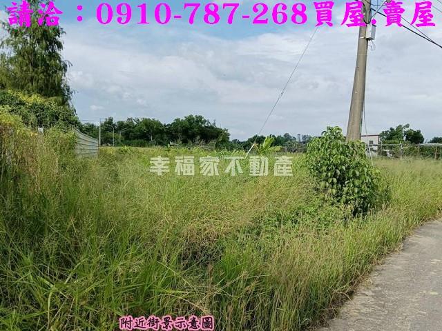 台南關廟農地-7