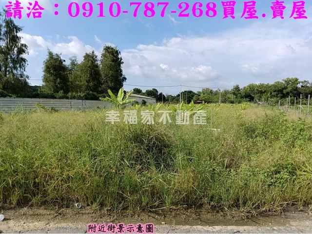 台南關廟農地-8