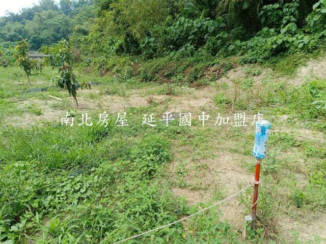 台南龍崎農地-11