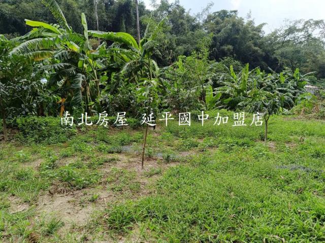 台南龍崎農地-13