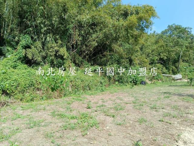 台南龍崎農地-14