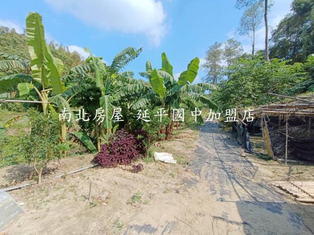 台南龍崎農地-1