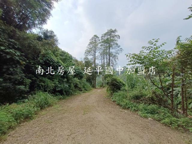 台南龍崎農地-2