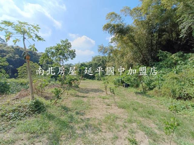 台南龍崎農地-7