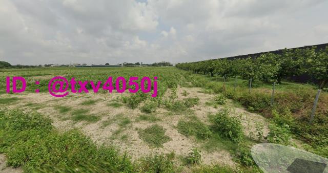 台南麻豆農地-3