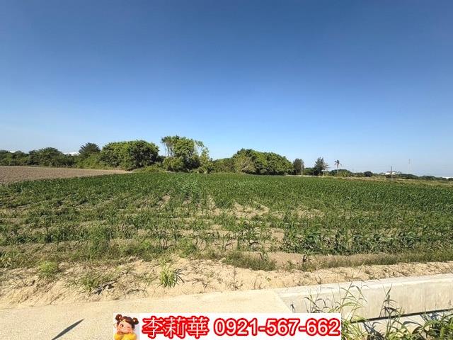 台南農地-3
